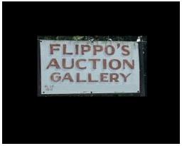 Flippo's Auction Gallery