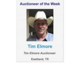 Tim Elmore Auctions