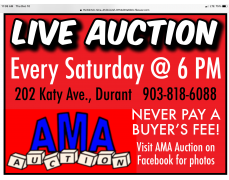 AMA Auction