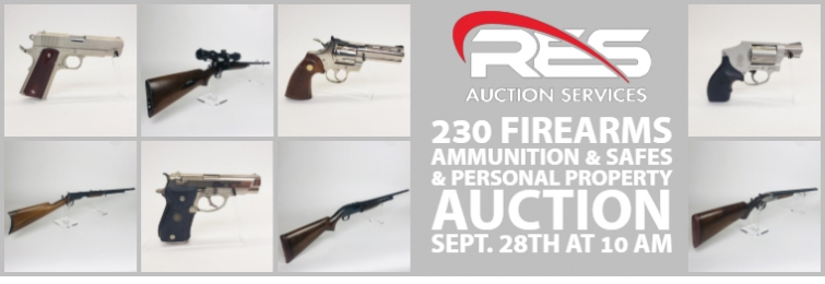 Auctions Niles Mi