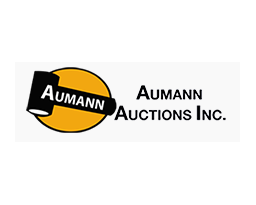 Aumann Auctions