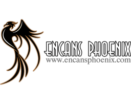  Encans Phoenix | Encan en ville