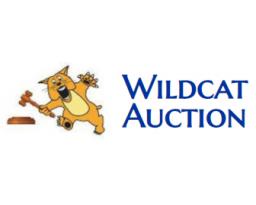 Wildcat Auction