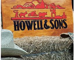 Howell & Sons, Inc.