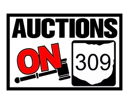 Auctions on 309