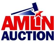 Amlin Auction