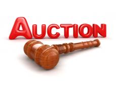 Parkers Auction Service