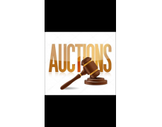 Ben H Royston Auctioneers 