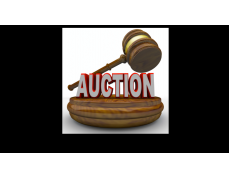 Anthony Auctions