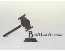 BIDALOT COIN AUCTION