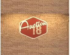 Auction 18 LLC