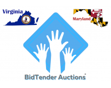 BidTender Auctions