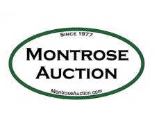 Montrose Auction Inc