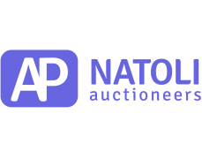 A.P. Natoli & Company Auctioneers, LLC