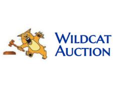 Wildcat Auction